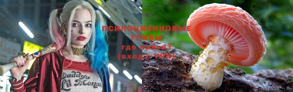mdma Зеленокумск