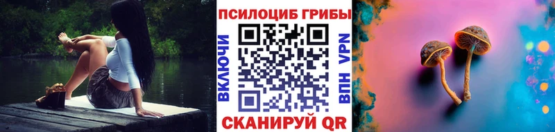 Купить  Малая Вишера  Галлюциногенные грибы MAGIC MUSHROOMS 